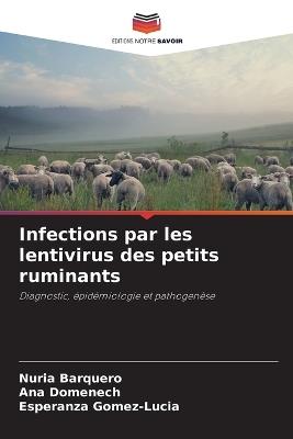 Infections par les lentivirus des petits ruminants - Nuria Barquero,Ana Domenech,Esperanza Gomez-Lucia - cover