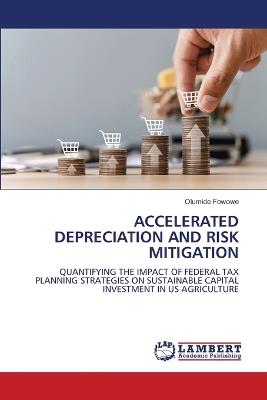 Accelerated Depreciation and Risk Mitigation - Olumide Fowowe - cover