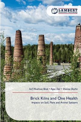 Brick Kilns and One Health - Arif Mushtaq Bhat,Aijaz Dar,Shanaz Bashir - cover