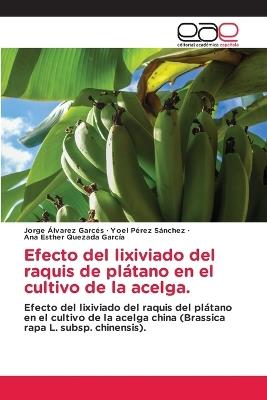 Efecto del lixiviado del raquis de plátano en el cultivo de la acelga. - Jorge Álvarez Garcés,Yoel Pérez Sánchez,Ana Esther Quezada García - cover