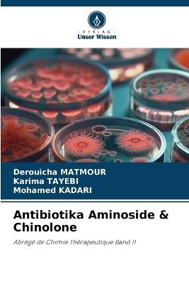 Antibiotika Aminoside & Chinolone - Derouicha Matmour,Karima Tayebi,Mohamed Kadari - cover