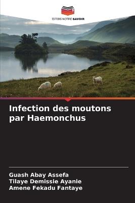 Infection des moutons par Haemonchus - Guash Abay Assefa,Tilaye Demissie Ayanie,Amene Fekadu Fantaye - cover