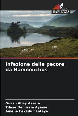 Infezione delle pecore da Haemonchus - Guash Abay Assefa,Tilaye Demissie Ayanie,Amene Fekadu Fantaye - cover