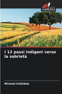 I 12 passi indigeni verso la sobrietà - Michael Eshkibok - cover