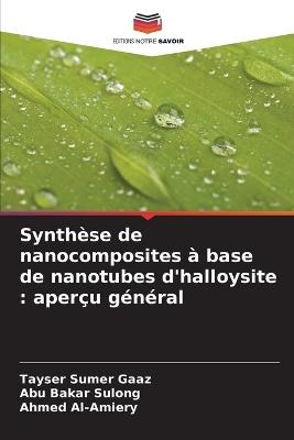 Synthèse de nanocomposites à base de nanotubes d'halloysite: aperçu général - Tayser Sumer Gaaz,Abu Bakar Sulong,Ahmed Al-Amiery - cover