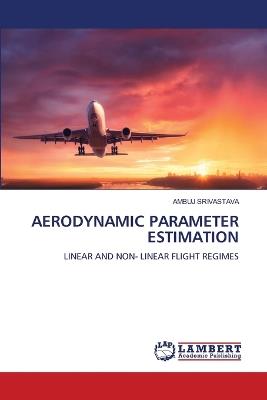 Aerodynamic Parameter Estimation - Ambuj Srivastava - cover