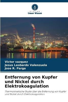Entfernung von Kupfer und Nickel durch Elektrokoagulation - Victor Vazquez,Jesus Leobardo Valenzuela,Jose R Parga - cover