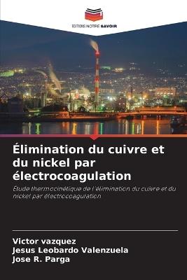 Élimination du cuivre et du nickel par électrocoagulation - Victor Vazquez,Jesus Leobardo Valenzuela,Jose R Parga - cover