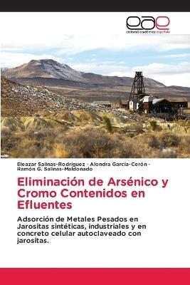 Eliminación de Arsénico y Cromo Contenidos en Efluentes - Eleazar Salinas-Rodríguez,Alondra García-Cerón,Ramón G Salinas-Maldonado - cover
