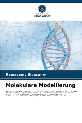 Molekulare Modellierung - Ramasamy Sivasamy - cover