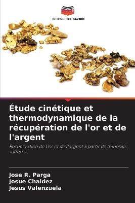 Étude cinétique et thermodynamique de la récupération de l'or et de l'argent - Jose R Parga,Josue Chaidez,Jesús Valenzuela - cover