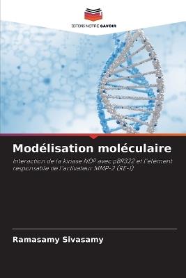 Modélisation moléculaire - Ramasamy Sivasamy - cover