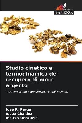 Studio cinetico e termodinamico del recupero di oro e argento - Jose R Parga,Josue Chaidez,Jesús Valenzuela - cover
