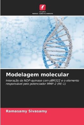Modelagem molecular - Ramasamy Sivasamy - cover
