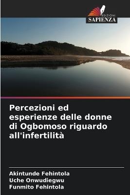 Percezioni ed esperienze delle donne di Ogbomoso riguardo all'infertilità - Akintunde Fehintola,Uche Onwudiegwu,Funmito Fehintola - cover
