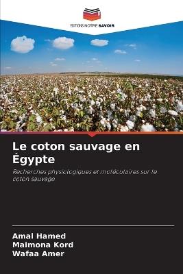 Le coton sauvage en Égypte - Amal Hamed,Maimona Kord,Wafaa Amer - cover