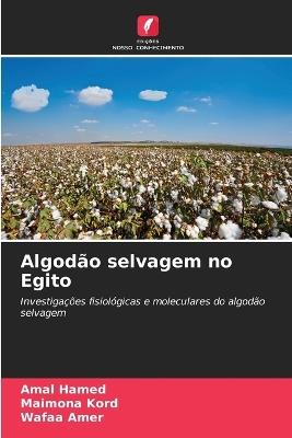 Algodão selvagem no Egito - Amal Hamed,Maimona Kord,Wafaa Amer - cover