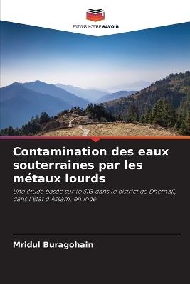 Contamination des eaux souterraines par les métaux lourds - Mridul Buragohain - cover