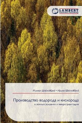 Производство водорода и кислорода - Михаил Шойхедброд,Ирина Шойхедброд - cover