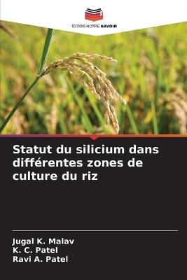 Statut du silicium dans différentes zones de culture du riz - Jugal K Malav,K C Patel,Ravi A Patel - cover