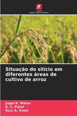 Situação do silício em diferentes áreas de cultivo de arroz - Jugal K Malav,K C Patel,Ravi A Patel - cover