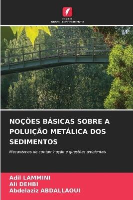 Noções Básicas Sobre a Poluição Metálica DOS Sedimentos - Adil Lammini,Ali Dehbi,Abdelaziz Abdallaoui - cover