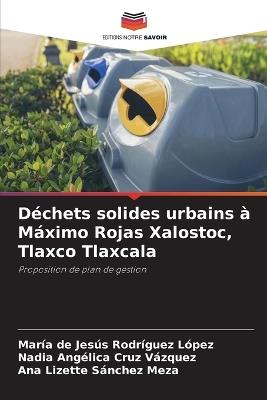 Déchets solides urbains à Máximo Rojas Xalostoc, Tlaxco Tlaxcala - María de Jesús Rodríguez López,Nadia Angélica Cruz Vázquez,Ana Lizette Sánchez Meza - cover