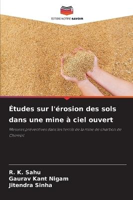 Études sur l'érosion des sols dans une mine à ciel ouvert - R K Sahu,Gaurav Kant Nigam,Jitendra Sinha - cover
