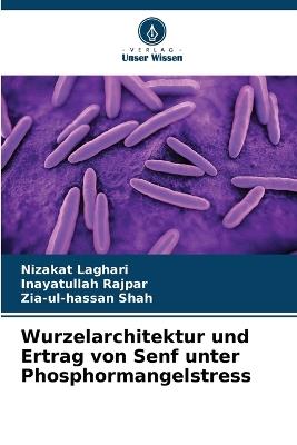 Wurzelarchitektur und Ertrag von Senf unter Phosphormangelstress - Nizakat Laghari,Inayatullah Rajpar,Zia-Ul-Hassan Shah - cover