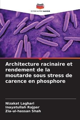 Architecture racinaire et rendement de la moutarde sous stress de carence en phosphore - Nizakat Laghari,Inayatullah Rajpar,Zia-Ul-Hassan Shah - cover