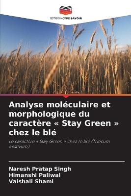 Analyse moléculaire et morphologique du caractère Stay Green chez le blé - Naresh Pratap Singh,Himanshi Paliwal,Vaishali Shami - cover