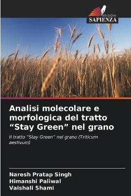Analisi molecolare e morfologica del tratto "Stay Green" nel grano - Naresh Pratap Singh,Himanshi Paliwal,Vaishali Shami - cover