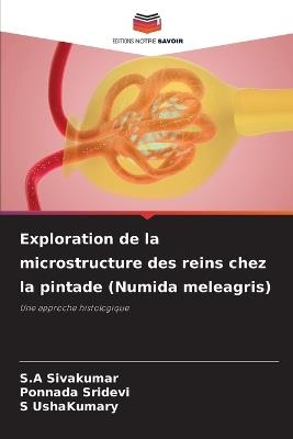 Exploration de la microstructure des reins chez la pintade (Numida meleagris) - S A Sivakumar,Ponnada Sridevi,S Ushakumary - cover