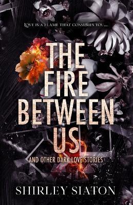 The Fire Between Us (The Discreet Edition) - Shirley Siaton - cover