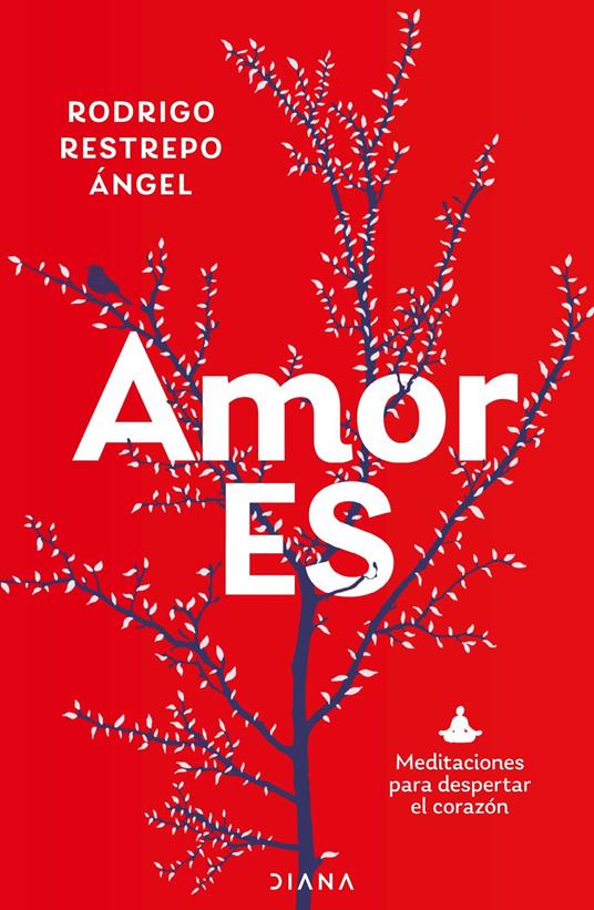 Amor Es