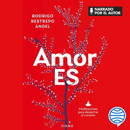 Amor Es