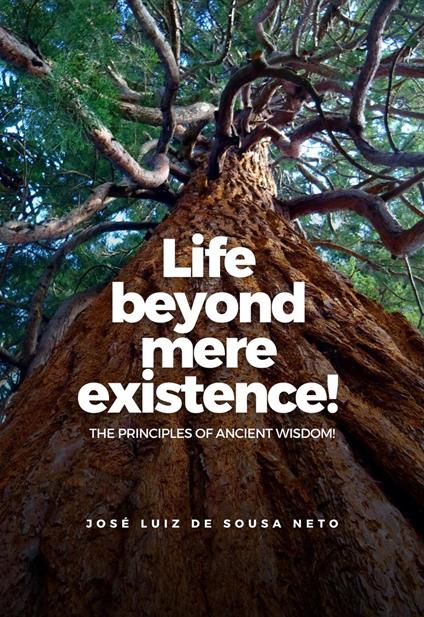 Life Beyond Mere Existence! - JOSÉ LUIZ DE SOUSA NETO - ebook