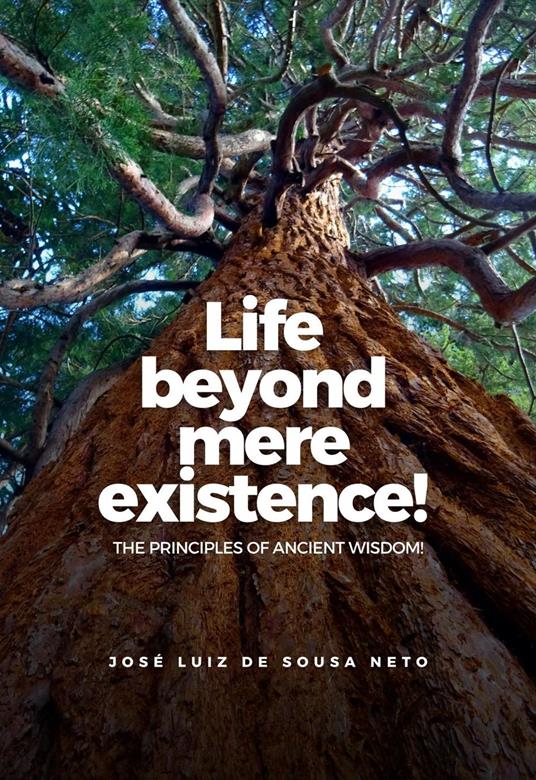 Life Beyond Mere Existence! - JOSÉ LUIZ DE SOUSA NETO - ebook