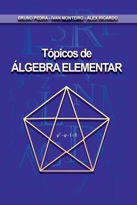 T picos De lgebra Elementar - Pedra Bruno - cover