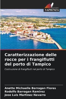 Caratterizzazione delle rocce per i frangiflutti del porto di Tampico - Anette Michaelle Barragan Flores,Rodolfo Barragan Ramirez,Jose Luis Martinez Navarro - cover