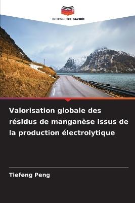 Valorisation globale des résidus de manganèse issus de la production électrolytique - Tiefeng Peng - cover