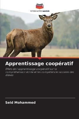 Apprentissage coopératif - Seid Mohammed - cover