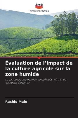Évaluation de l'impact de la culture agricole sur la zone humide - Rashid Male - cover