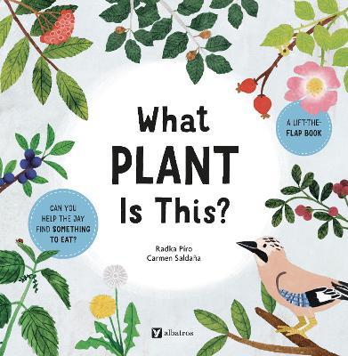What Plant Is This? - Radka Piro - cover