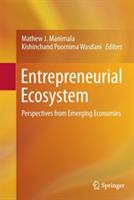 Entrepreneurial Ecosystem: Perspectives from Emerging Economies