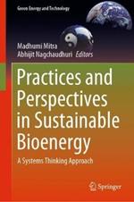 Practices and Perspectives in Sustainable Bioenergy: A Systems Thinking Approach
