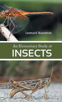 An Elementary Study of insects - Leonard Haseman - cover