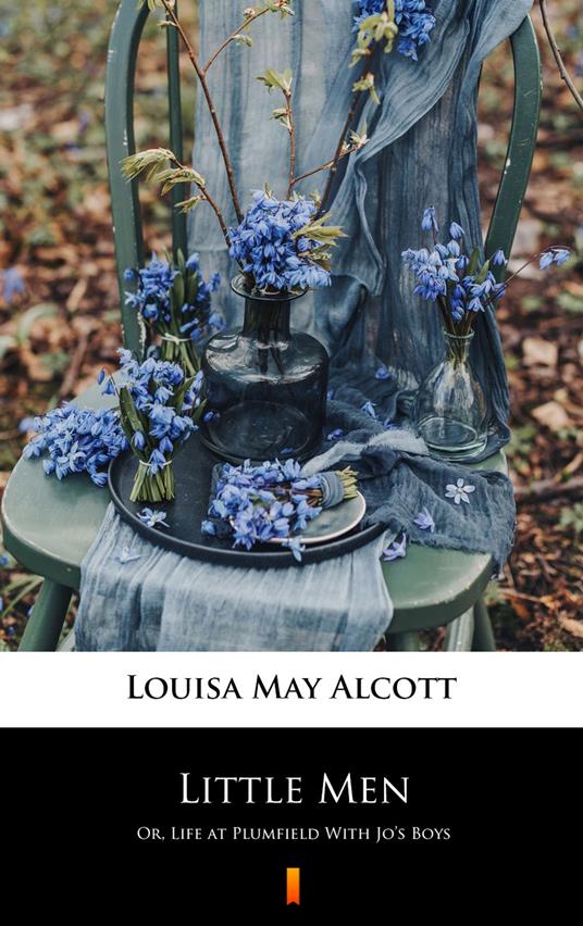 Little Men - Louisa May Alcott - ebook