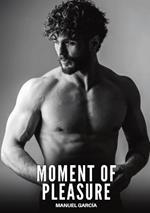 Moment of Pleasure: Explicit Gay Erotic Short Stories for Men (Hot and Sexy)