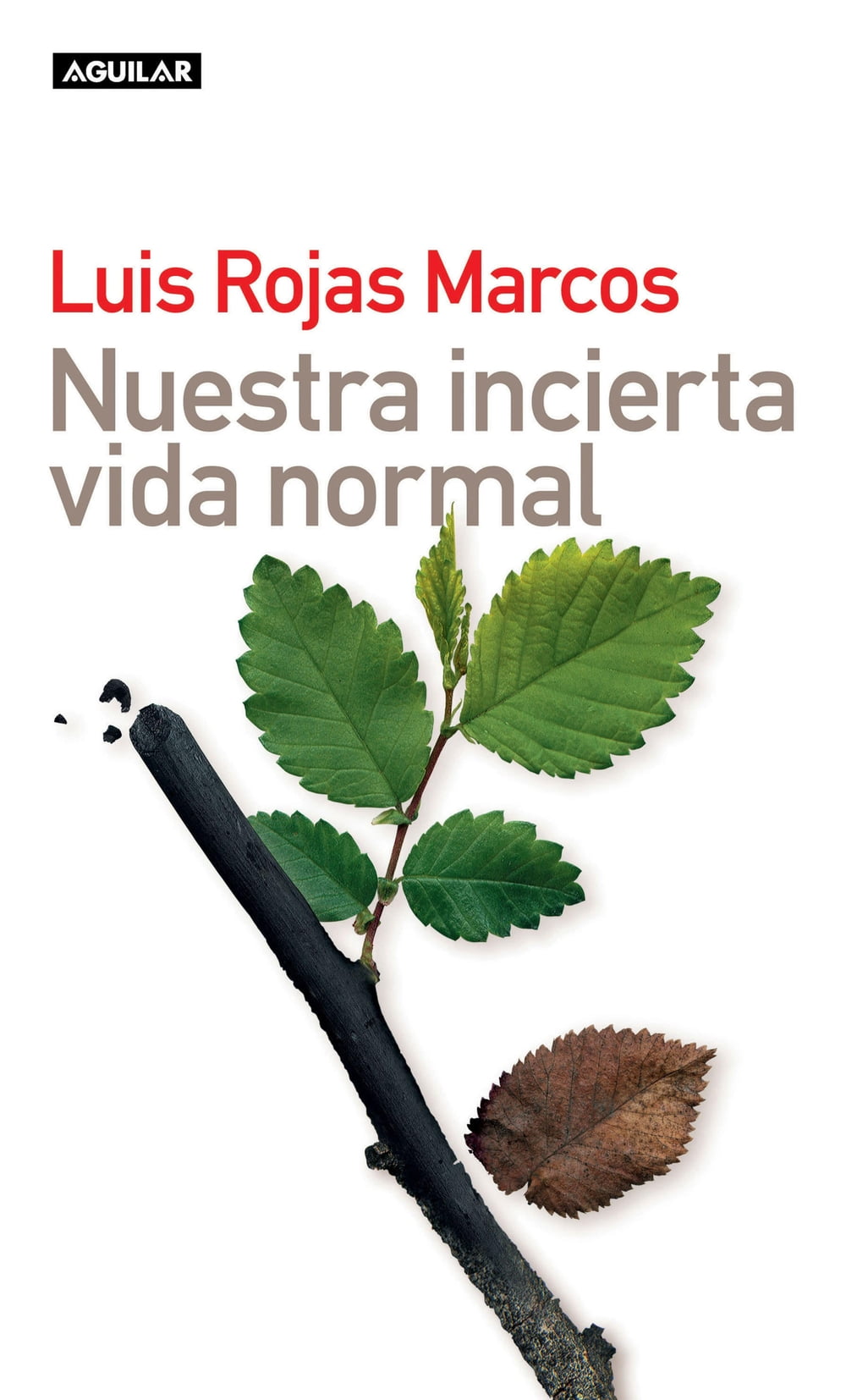 ibs